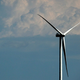 Image for article titled U.S. Renewables Are Set to Generate More Electricity Than Coal for the First Time